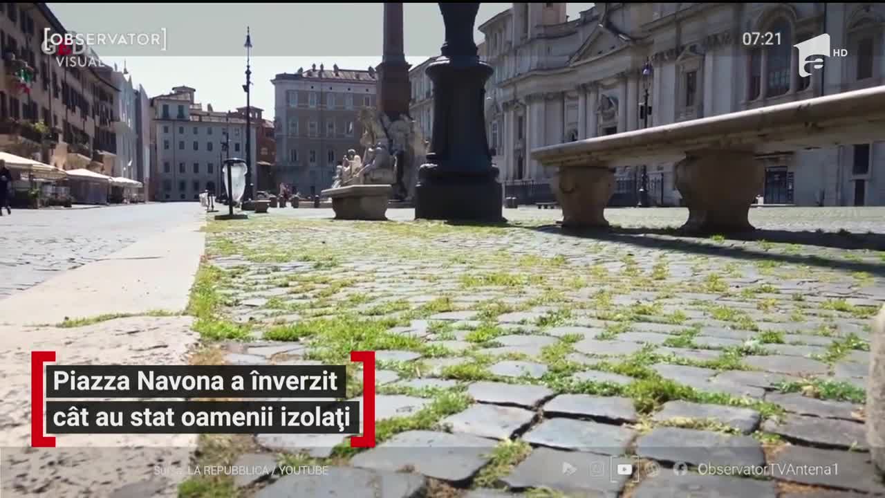 Iarba a crescut printre pietrele cubice &icirc;n Piaţa Navona din Roma