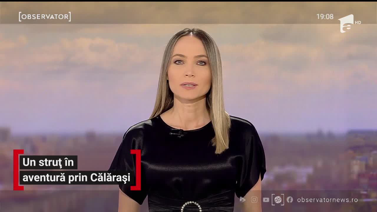 Un struţ a fost surprins &icirc;n timp ce alerga pe o şosea din Călăraşi