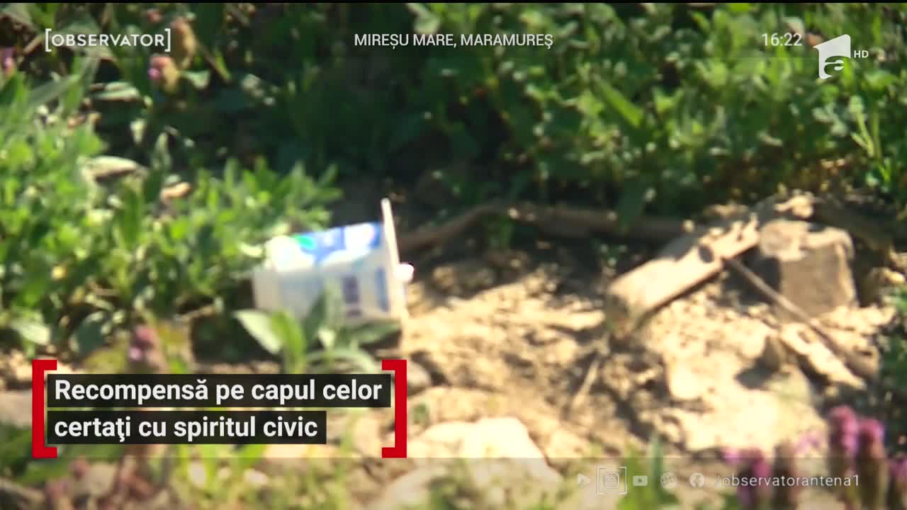 &Icirc;n județul Maramureș, localnicii sunt răsplătiți cu bani dacă &icirc;i p&acirc;răsc pe cei certați cu spiritul civic