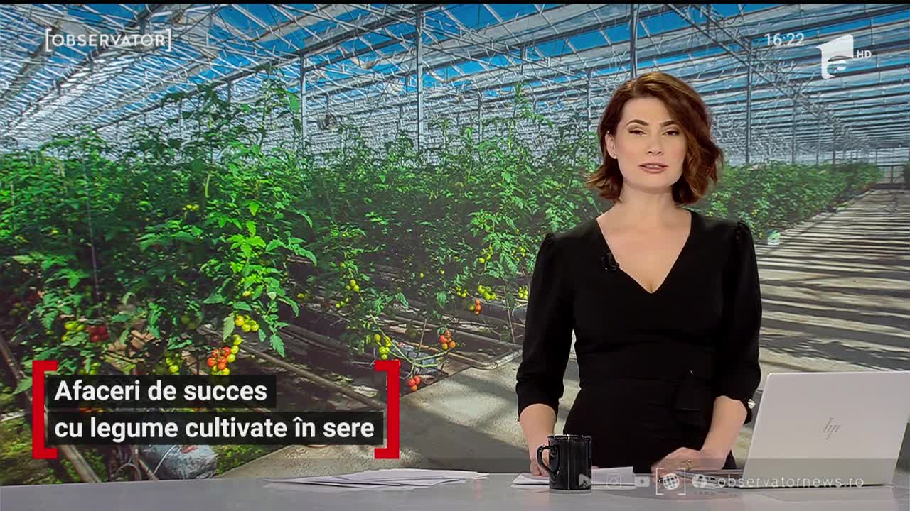 Afaceri de succes cu legume cultivate &icirc;n sere