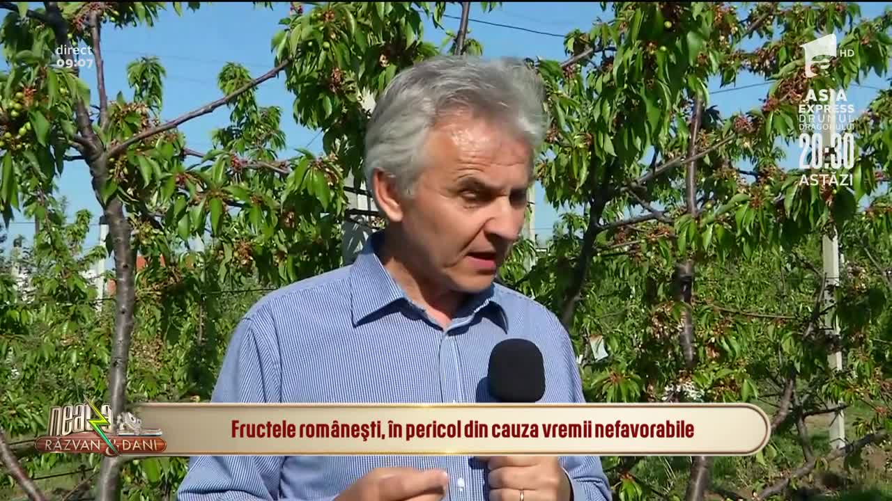 Fructele rom&acirc;neşti, &icirc;n pericol din cauza vremii nefavorabile