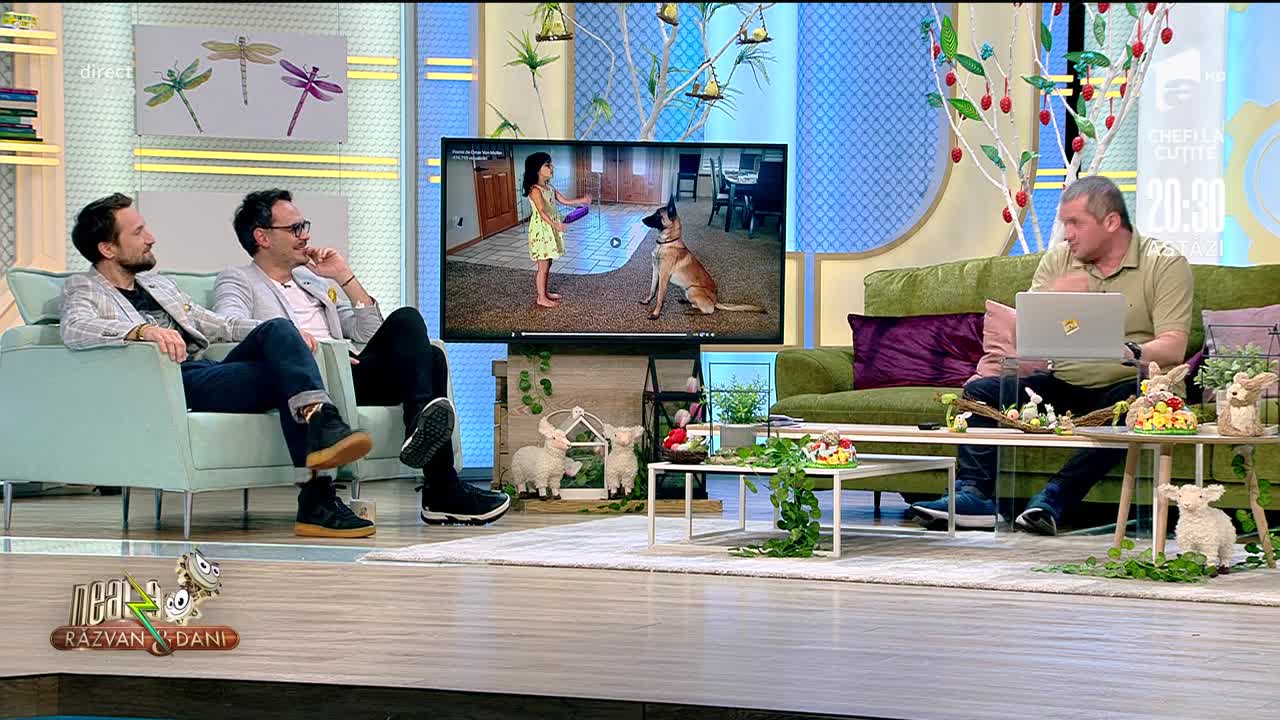 Smiley News: O fetiță se joacă "De-a v-ați ascunselea" cu un c&acirc;ine! Uite ce a ieșit!