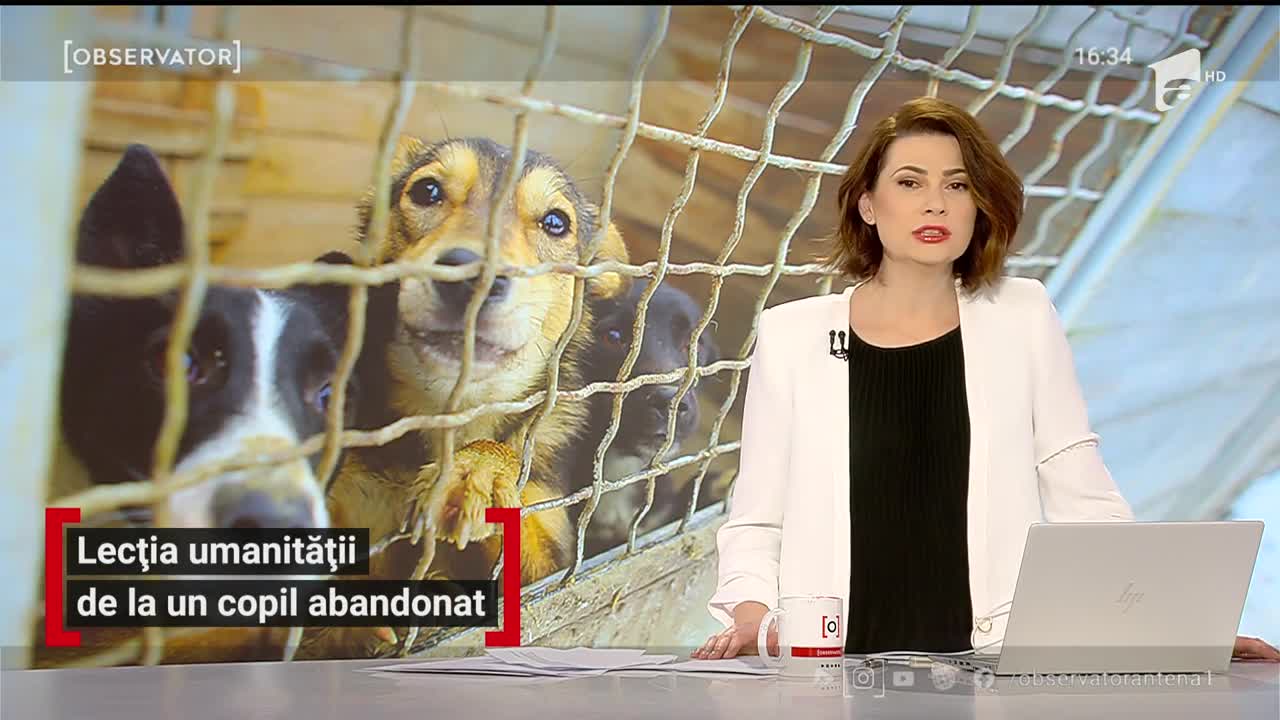 Un t&acirc;năr din V&acirc;lcea reuşeşte să dea tuturor o adevărată lecţie de viaţă. Adolescentul se luptă pentru a le asigura un trai mai bun animalelor abandonate