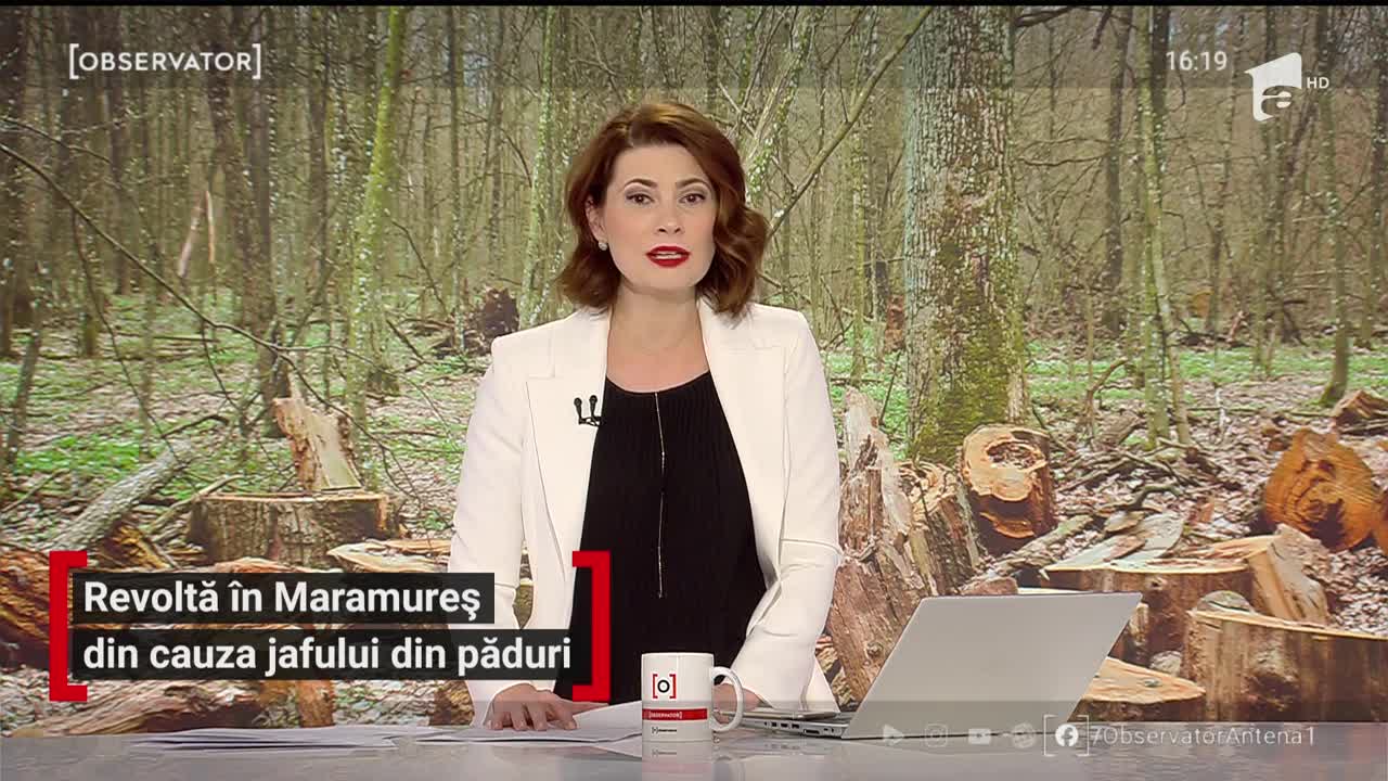 Revoltă &icirc;n Maramureş din cauza jafului din păduri