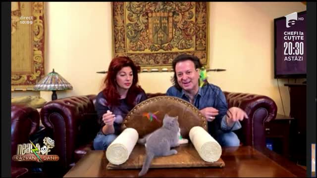 Candice Dragotă, despre importanța vaccinării pisicilor