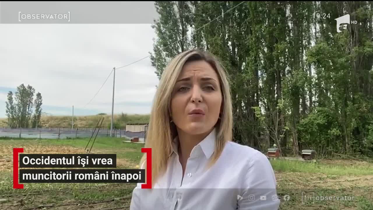 Muncitorii rom&acirc;ni, salvarea agriculturii europene