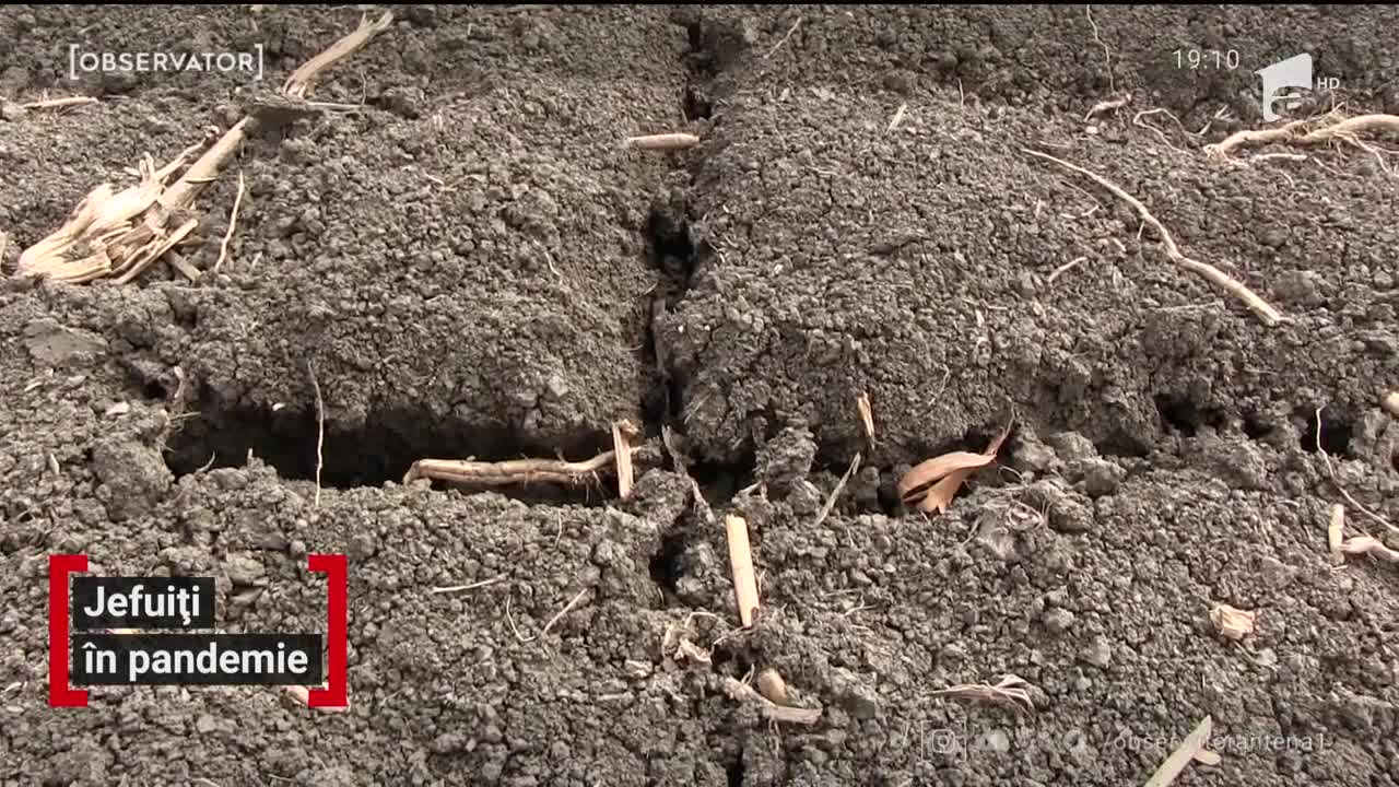 Virusul umflă preţurile &icirc;n magazine. Cele mai căutate produse s-au scumpit chiar şi cu 130 la sută
