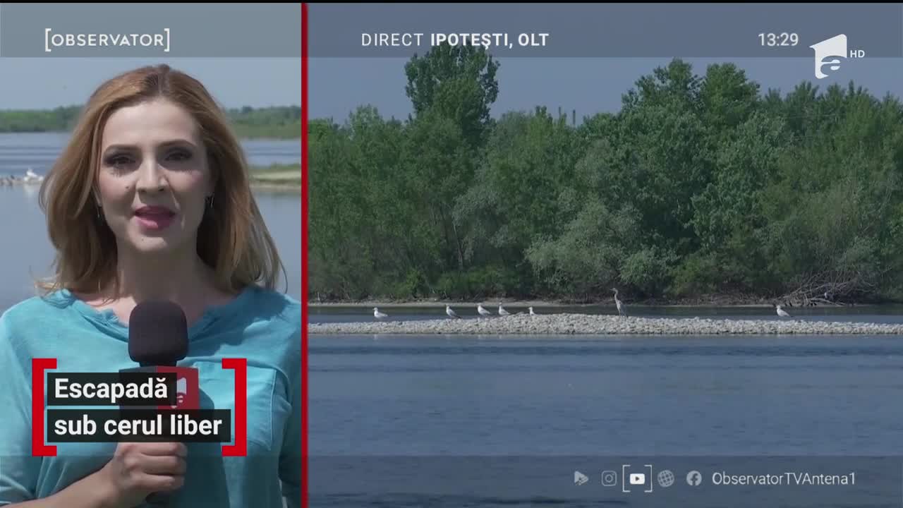 Escapadă sub cerul liber