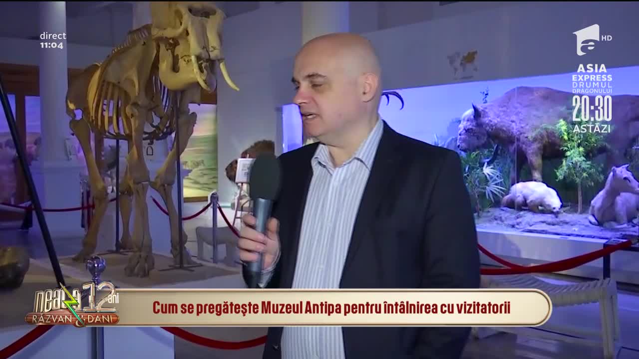 Cum se pregătește Muzeul Antipa pentru &icirc;nt&acirc;lnirea cu vizitatorii