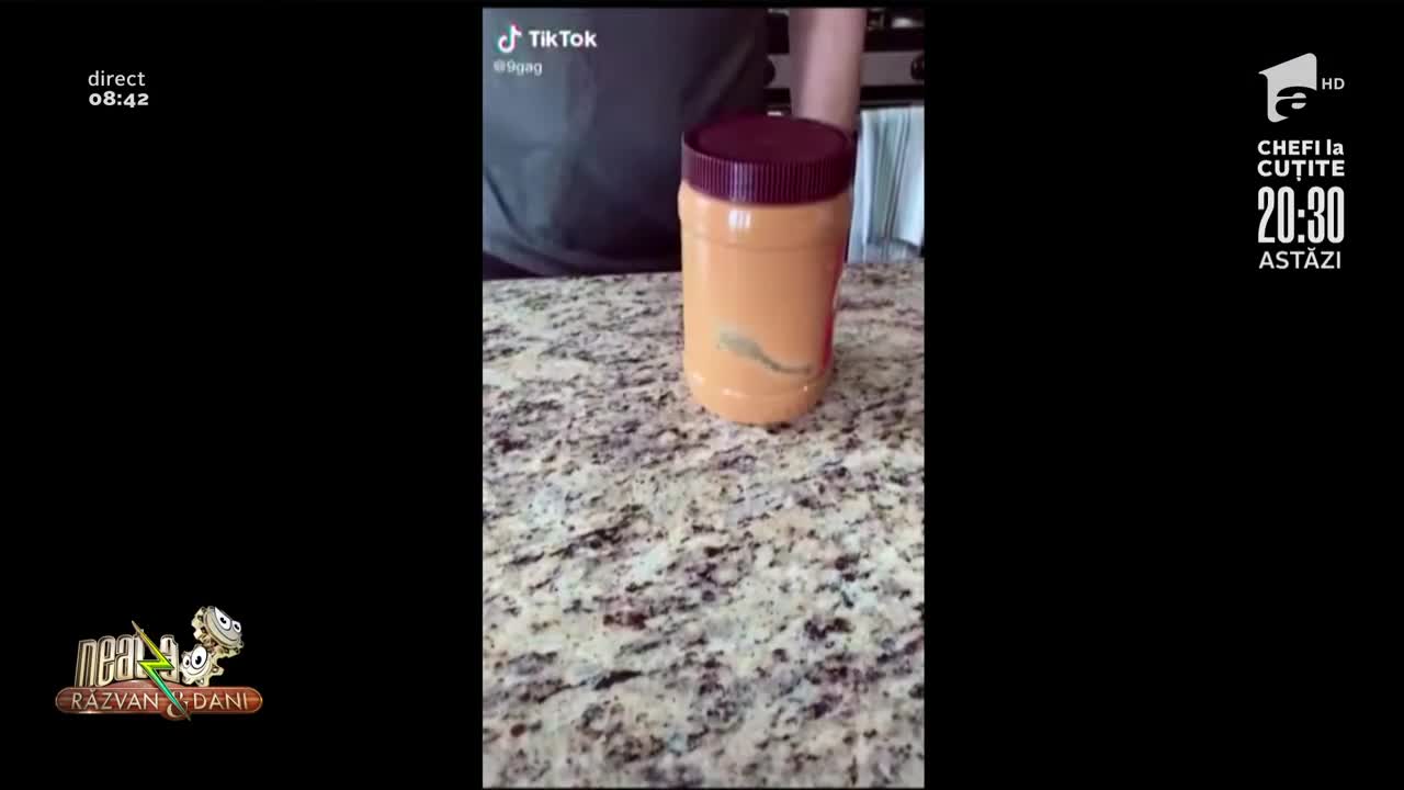 Smiley News: Cum să tăi unghiile c&acirc;inelui tău acasă