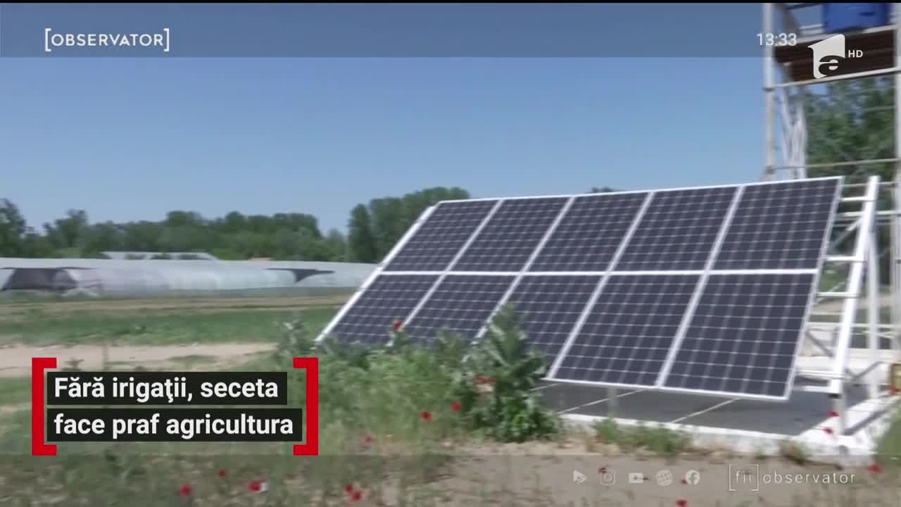 Fără irigații, seceta face praf agricultura din Rom&acirc;nia