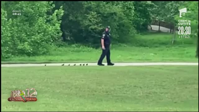 Smiley News. Un polițist din America le caută mămica unor bobocei