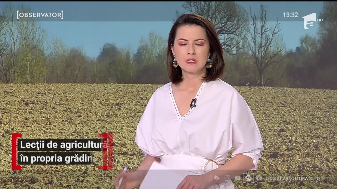 Lecții de agricultură, &icirc;n propria grădină