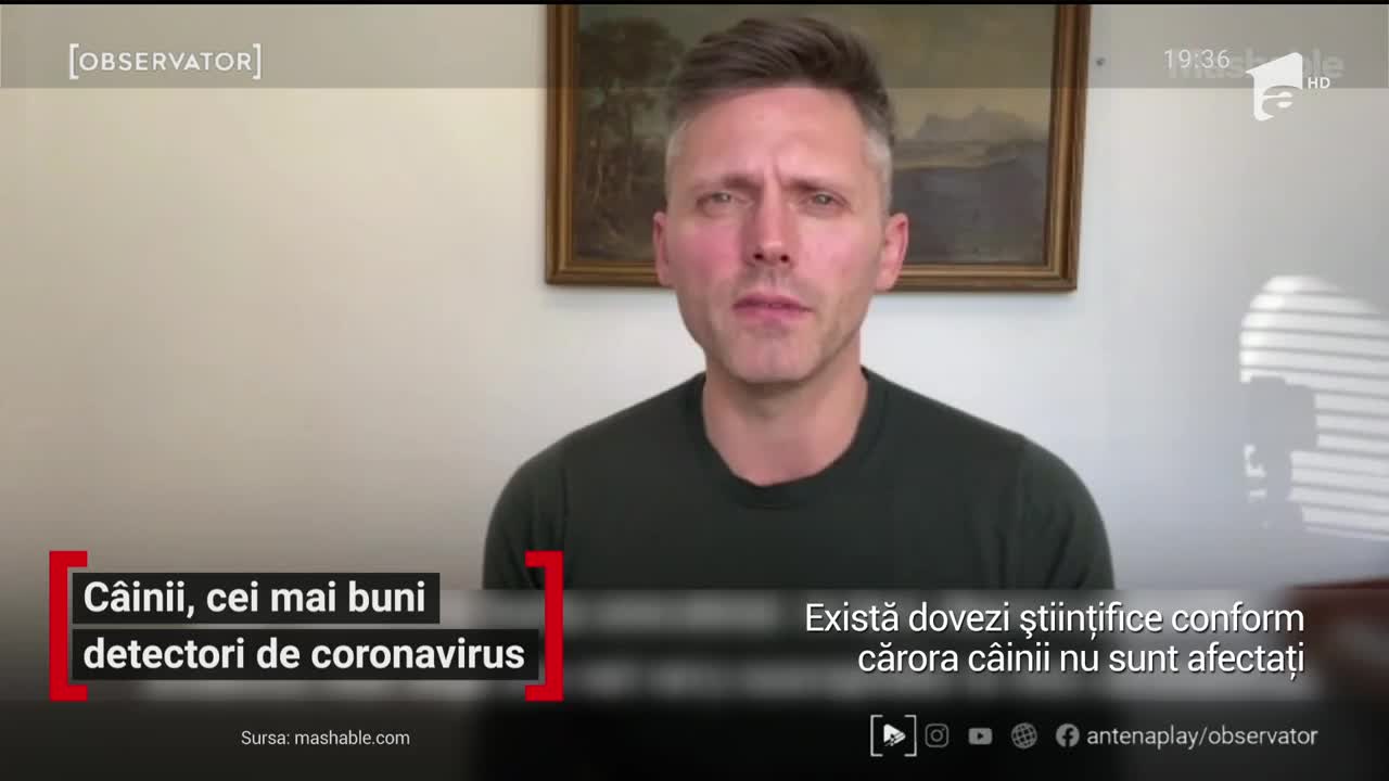 C&acirc;inii, cei mai buni detectori de coronavirus