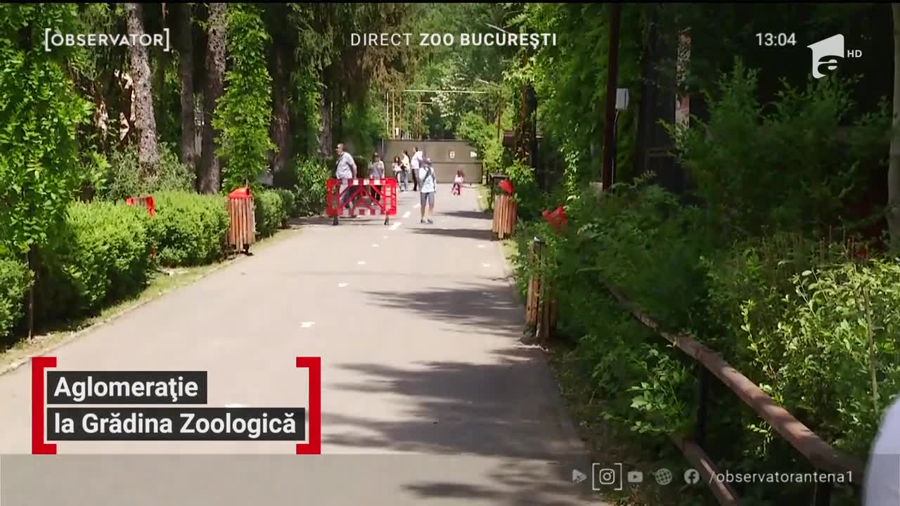 Aglomeraţie la Grădina Zoologică