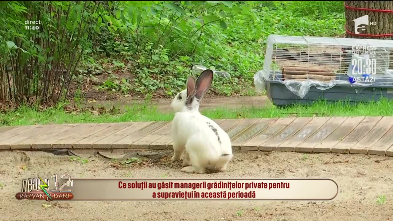 Multe dintre grădinițele private, &icirc;n pragul falimentului