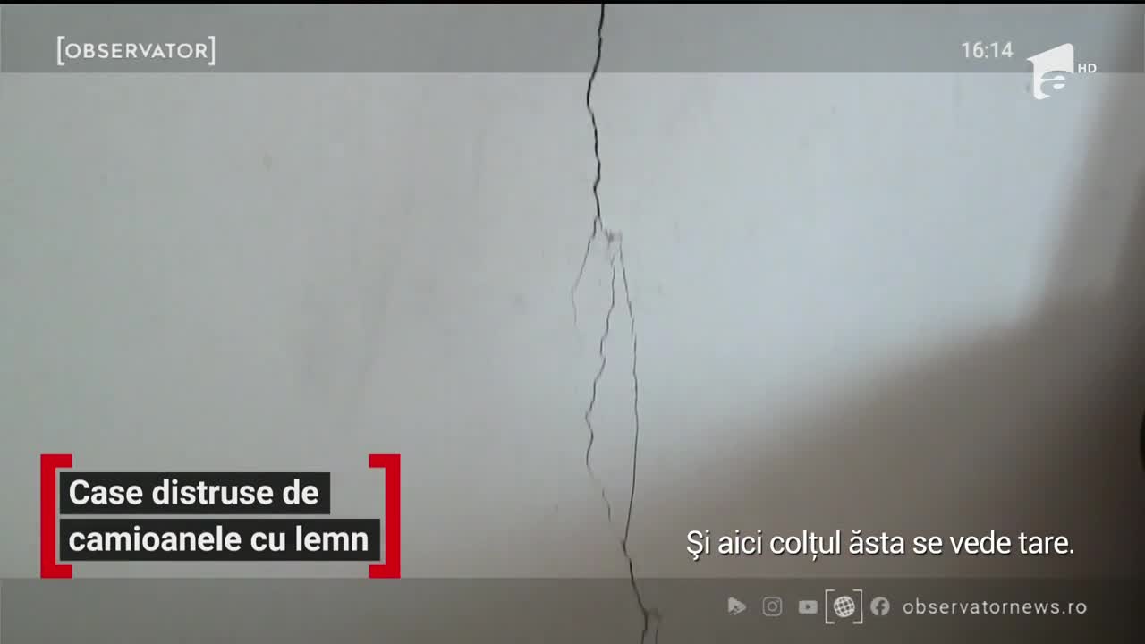 Case distruse de camioane cu lemn