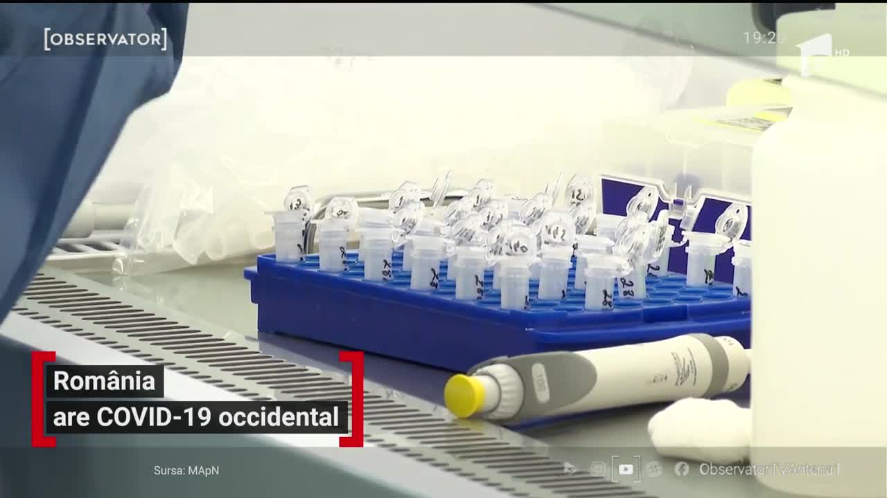 Coronavirusul din Rom&acirc;nia seamănă cel mai mult cu tulpinile din Europa şi mai puţin cu cel din China
