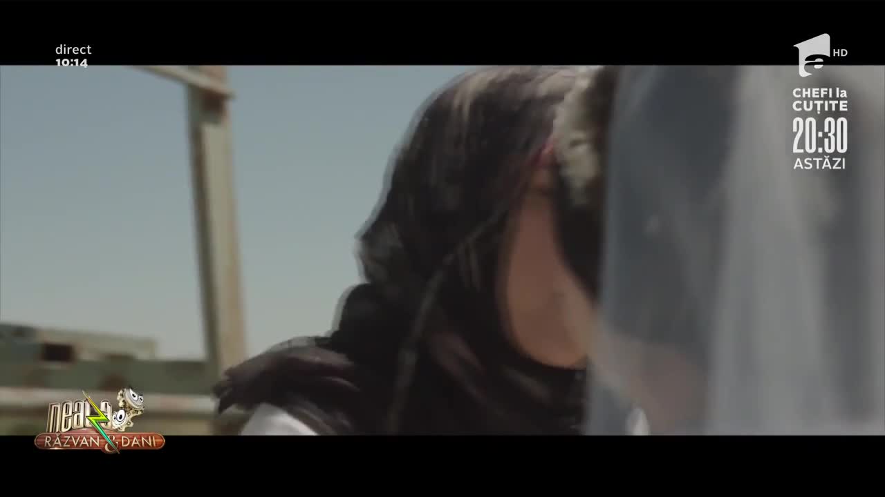 Cronica filmelor care trebuie vizionate la izolare: Declarație de Dragoste, Sand Stom și Open Season