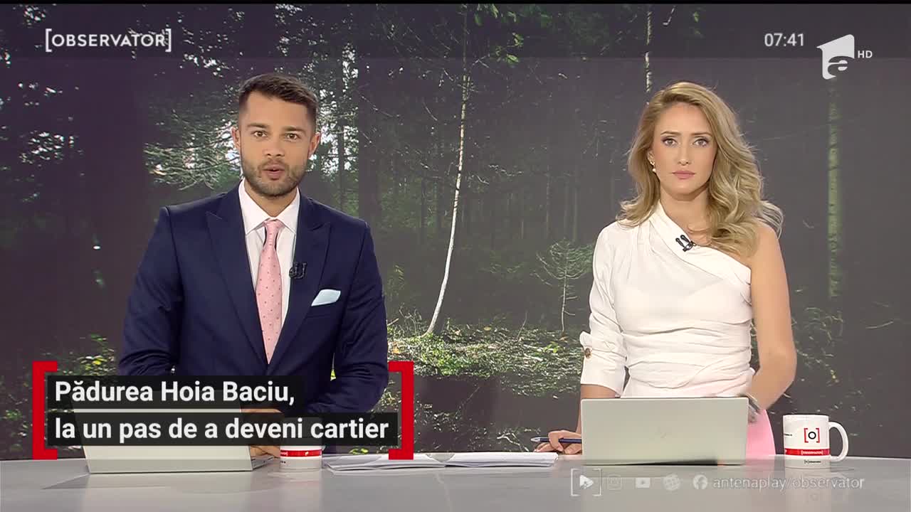 Pădurea Hoia Baciu din Cluj, la un pas de a deveni cartier