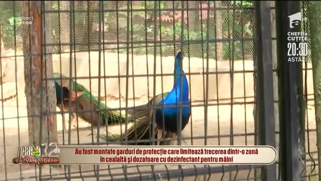 Grădina Zoologică din Băneasa s-a redeschis