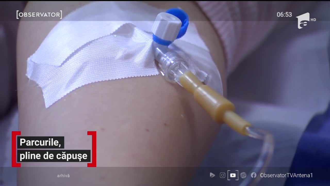 Parcurile din Rom&acirc;nia, pline de căpușe