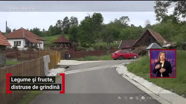 Legume și fructe, distruse de grindină. Oamenii se tem că nu au ce să mai pună pe masă
