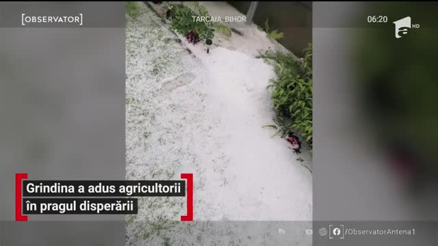 Căderile de grindină s-au ţinut lanţ &icirc;n toată ţara
