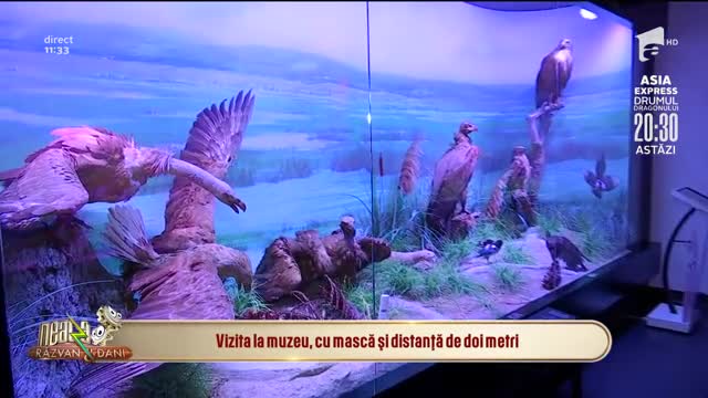 Vizita la muzeu, cu mască și distanță de doi metri