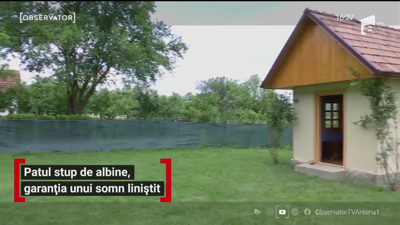 Patul stup de albine, garanția unui somn liniștit