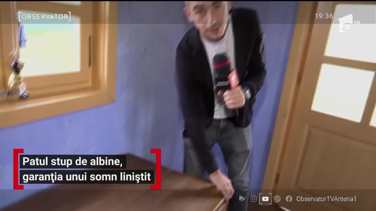 Patul pe un stup de albine, garanția unui somn liniștit