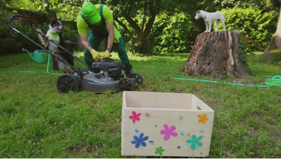 Grădinarul și cățeii veseli. Adrian Stoica, număr de dresaj impresionant