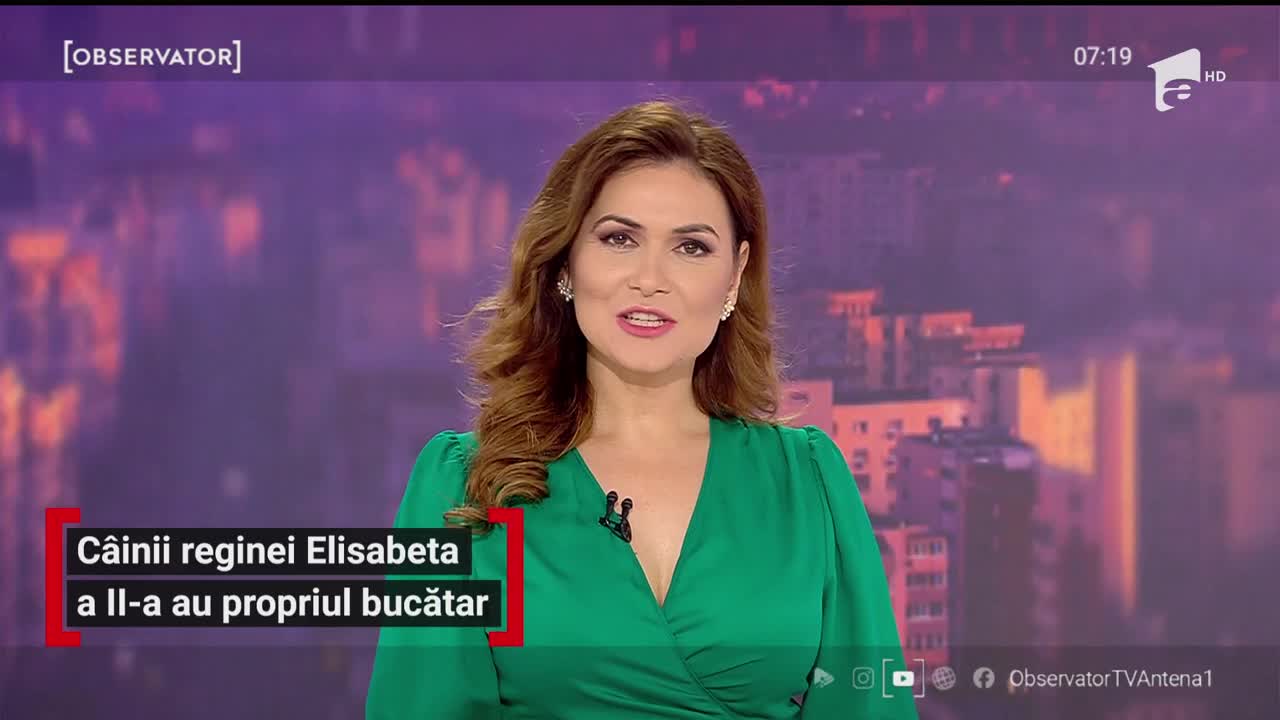 C&acirc;inii reginei Elisabeta a II-a au propriul bucătar