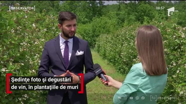 Ședinţe foto și degustări de vin, &icirc;n plantațiile de muri