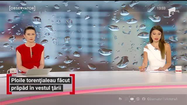 Ploile torențiale au făcut prăpăd &icirc;n vestul țării