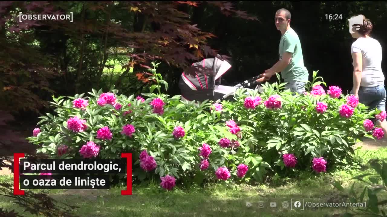 Parcul dendrologic Simeria, loc unic &icirc;n Rom&acirc;nia