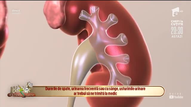 Bună dimineața, Sănătate! Sfaturi pentru pacienții cu boli de rinichi