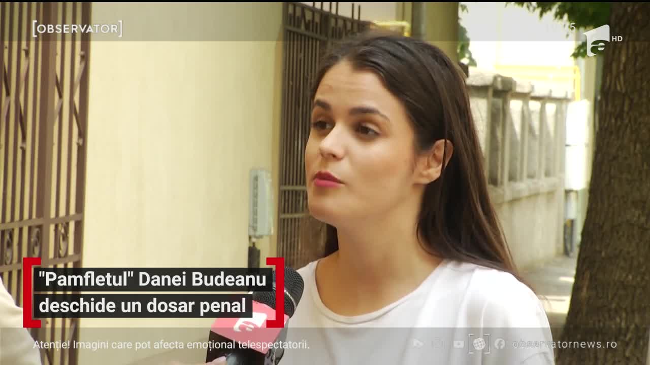 Dana Budeanu este vizată de un dosar penal pentru instigare publică la violenţă