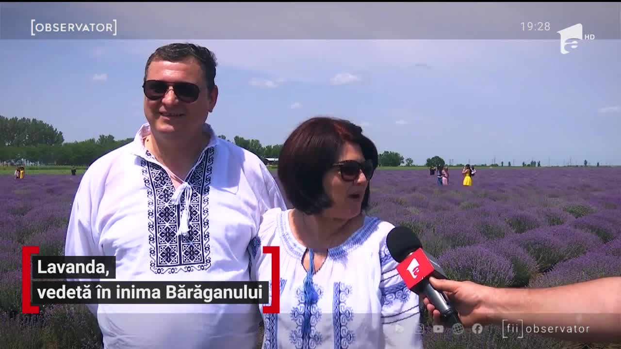 Lanurile de lavandă pline de culoare şi parfum nu sunt un peisaj de care să ne bucurăm doar peste hotare. Găsim şi &icirc;n Rom&acirc;nia un astfel de decor care are şi propriul festival