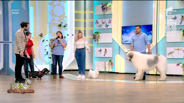 Br&acirc;ndușa Gheorghiu, despre creșterea responsabilă a c&acirc;inilor