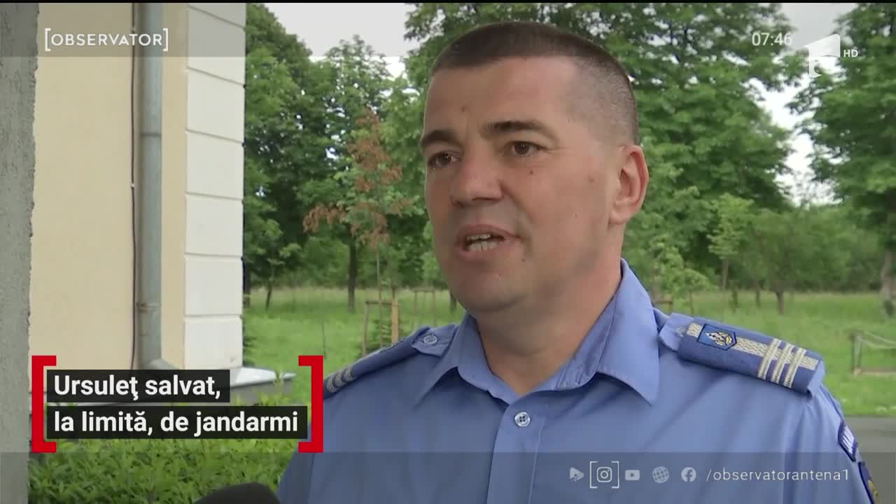 Ursuleț salvat, la limită, de jandarmii din Brașov