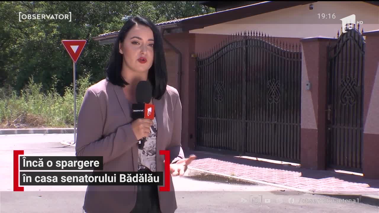 Furt cu repetiție, &icirc;n familia senatorului Nicolae Bădălău
