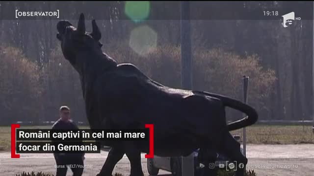 Rom&acirc;ni captivi &icirc;n cel mai mare focar din Germania