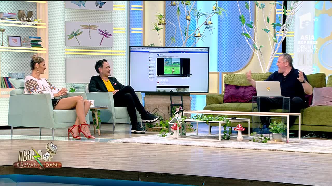 Smiley News. Cel mai bun loc de ascunzătoare din istoria omenirii