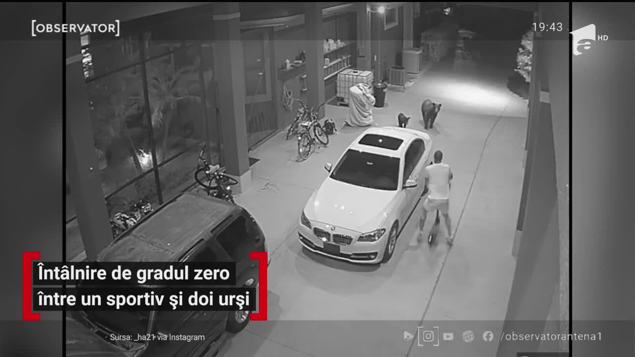 &Icirc;nt&acirc;lnire de gradul zero &icirc;ntre un sportiv și doi urși