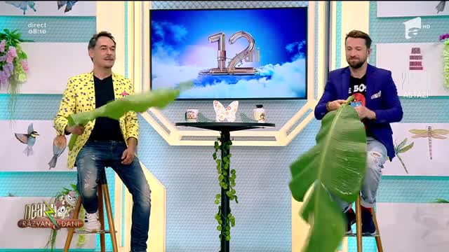 Răzvan și Dani s-au ascuns, după două frunze uriașe