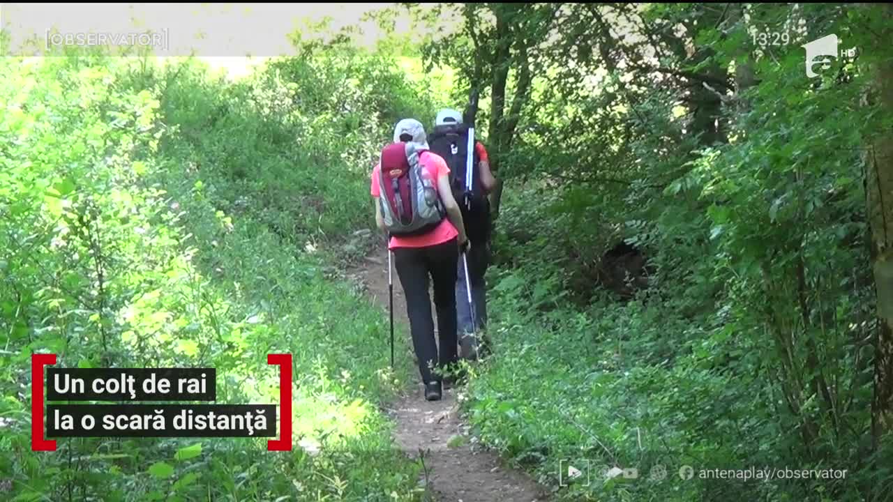 Un colț de rai la o scară distanță
