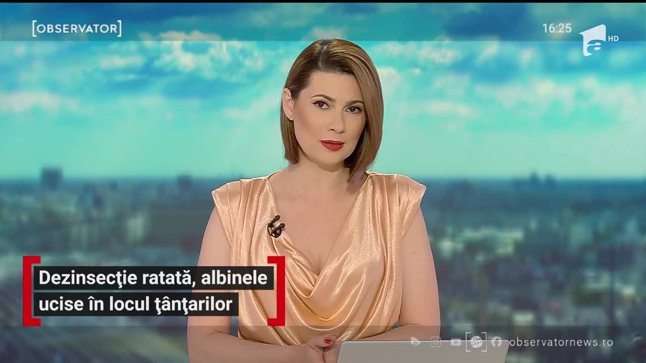 Dezinsecție ratată la Deva, albinele ucise &icirc;n locul ț&acirc;nțarilor