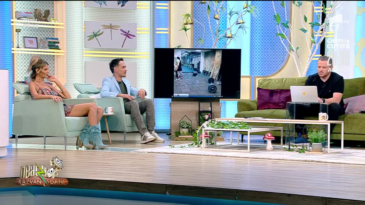 Smiley News: Cum se taie un copac &icirc;nalt, exerciții extreme și mistrețul neprietenos