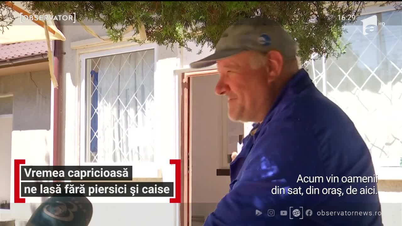 Vremea capricioasă ne lasă fară piersici și caise